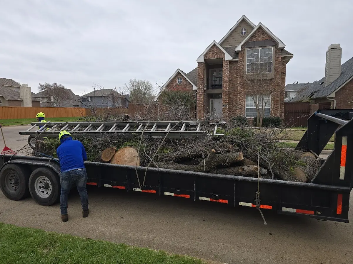Expert Lot Clearing with proper safety equipment in Barrington